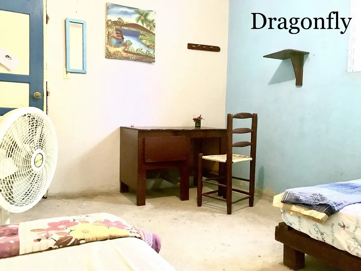 Hostal Haiti Communitere Albergue Puerto Príncipe