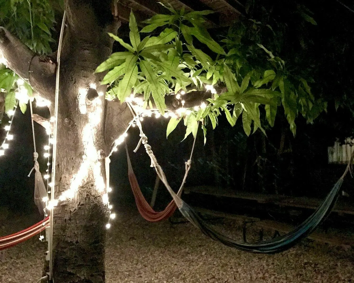 Haiti Communitere Albergue Puerto Príncipe Haití