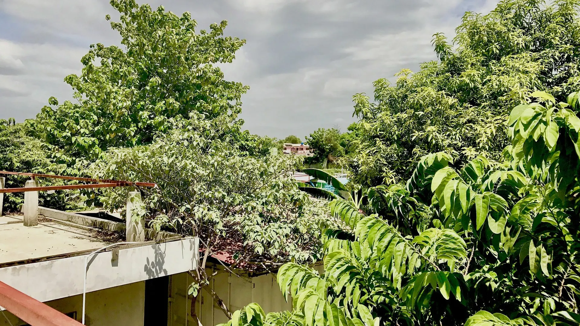 Hostal Haiti Communitere Albergue Puerto Príncipe Haití